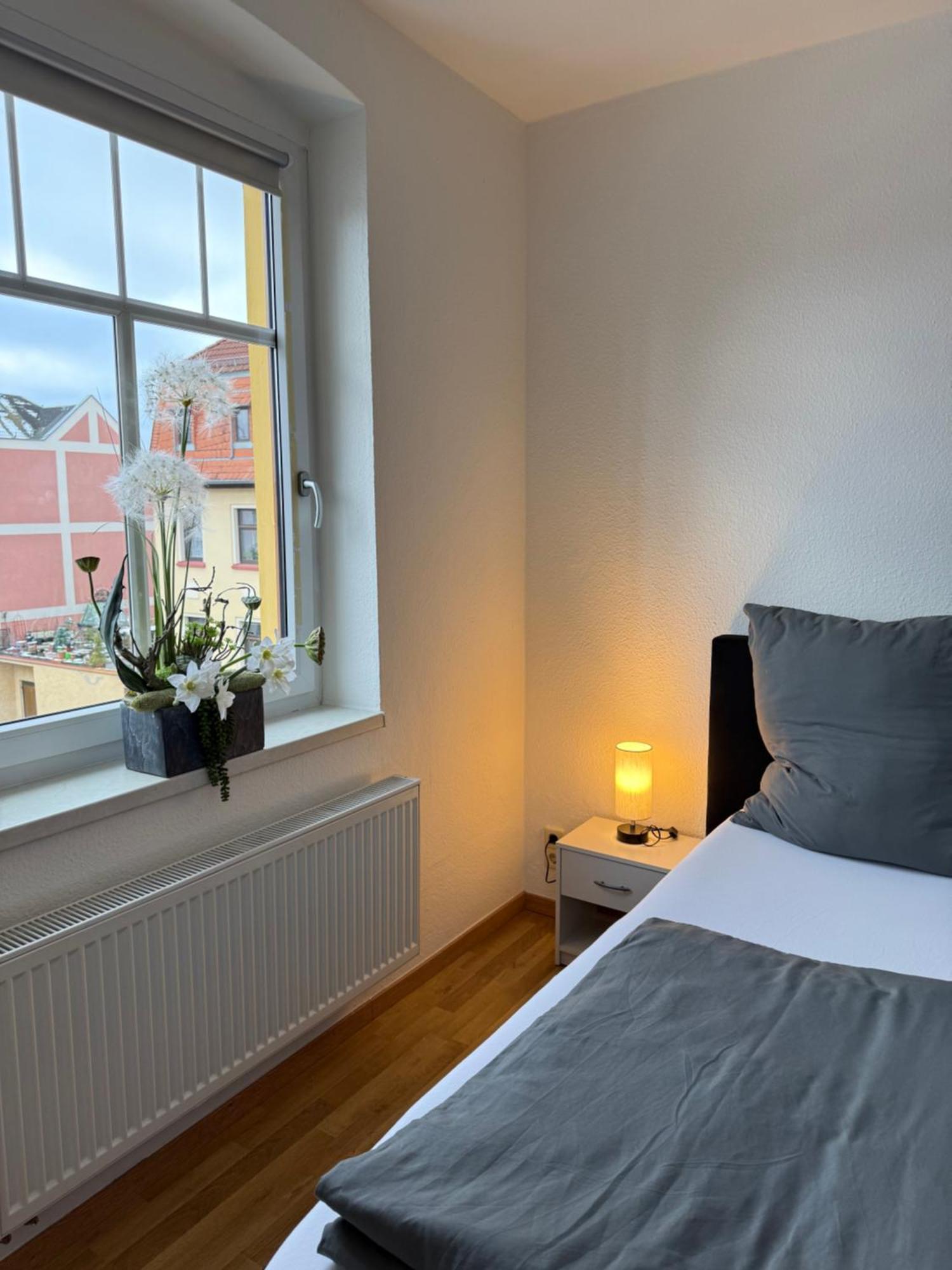 Goeltzschtal Apartment Mylau Екстериор снимка
